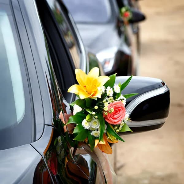 Wedding Transfers